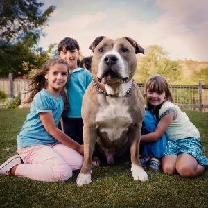 5 Myths About Pit Bulls Busted_Pit bulls aren’t good with kids